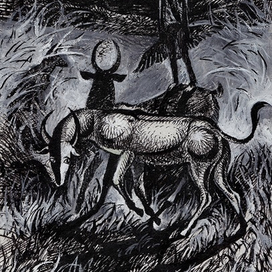 Ночные тени.