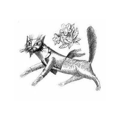 В. Ермолаев "Маркиз во фраке и в жасмине" Эзотерический роман