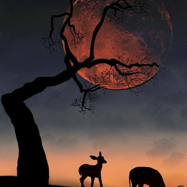 Ночной пейзаж