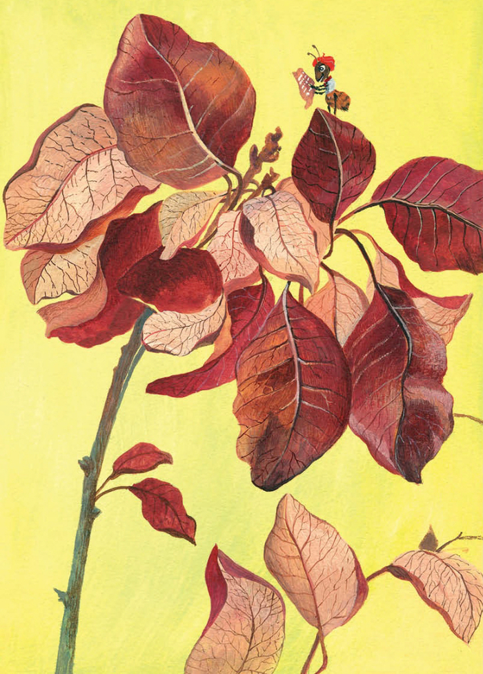 Муравьишка