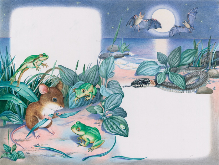 "Ночная встреча" к книге "Мышонок Пик"