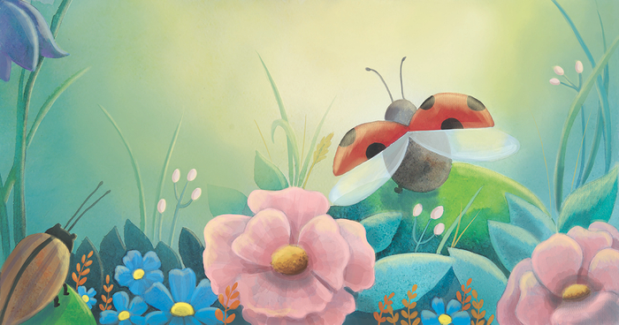 божья коровка