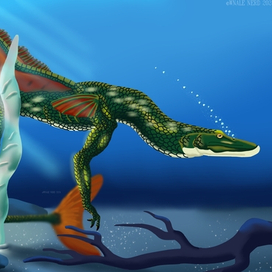 Император Щук