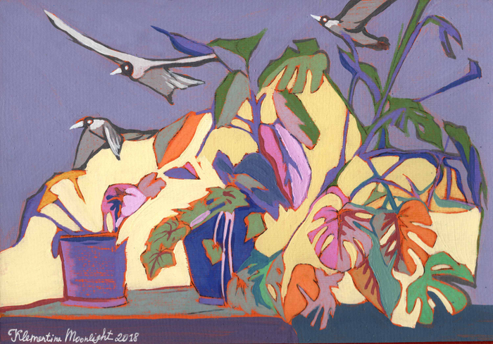 Зимний сад.