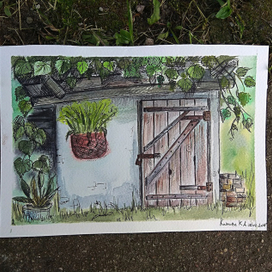 Живопись (Акварель)