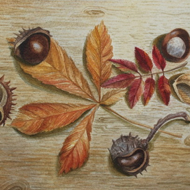 Трофеи с прогулки