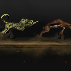 Гепард (Из серии работ "Африка")