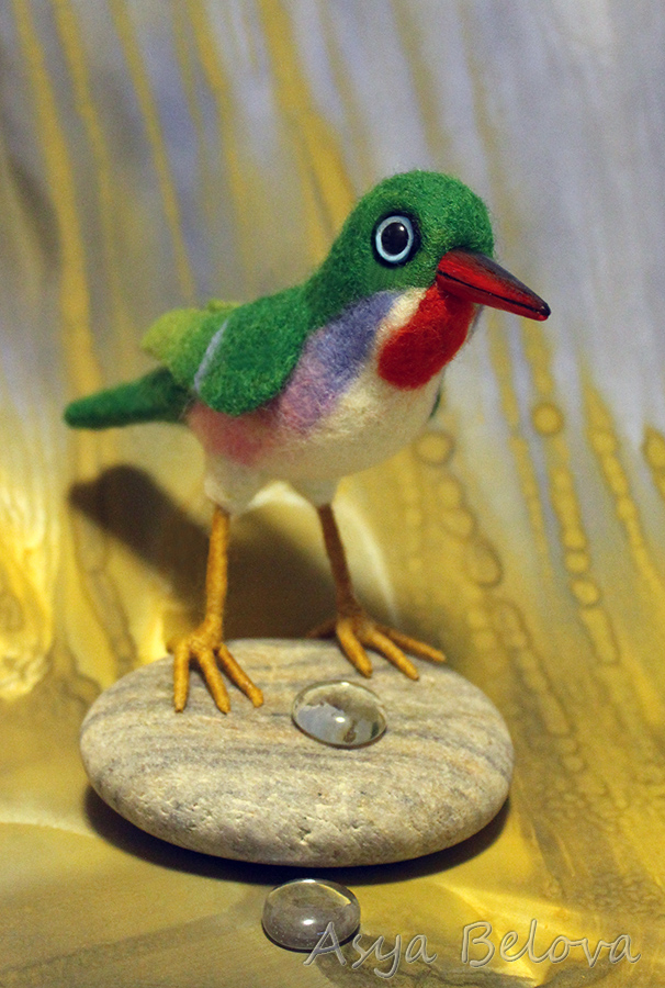 Кубинский  тоди.