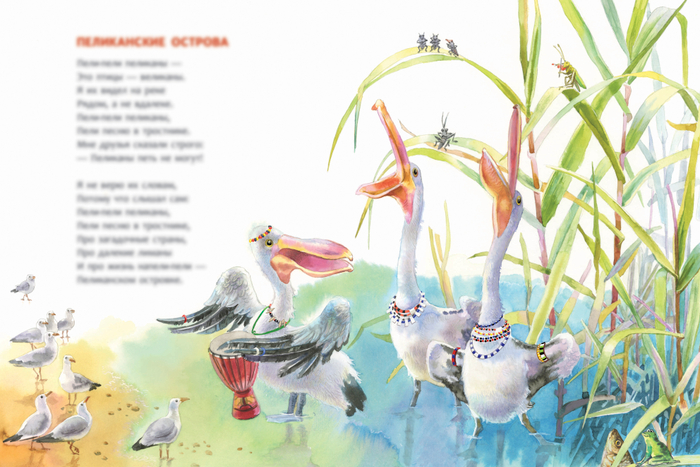 Пели-пели пеликаны