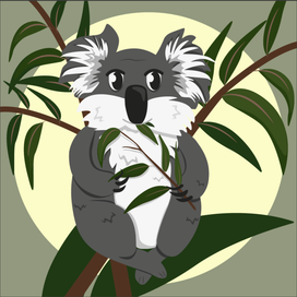 Коала
