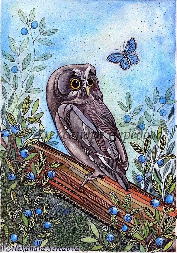 Совушки. Сычик в чернике