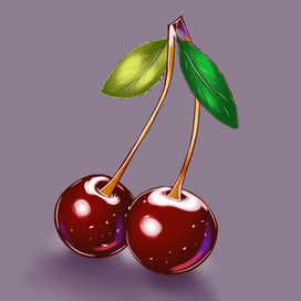 Иллюстрации