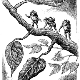 путешествие