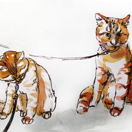 Тошка и собачий поводок