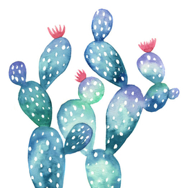 Colorful cactus