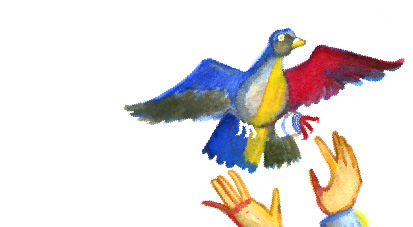 Почтовый голубь