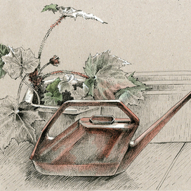 Красная лейка