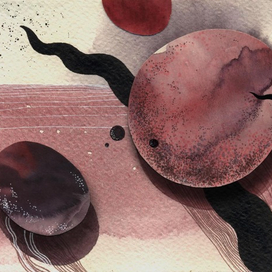 Микрокосмос