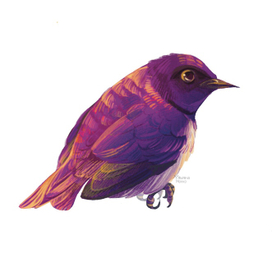 Фиолетовая птичка 