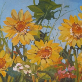 Подсолнухи