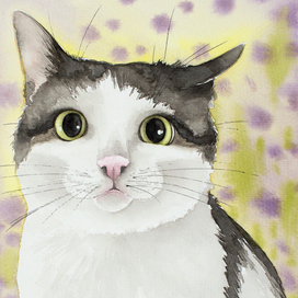 Что здесь происходит?( Акварель)Кот