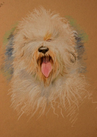 белое облако