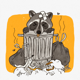 Мусорная панда