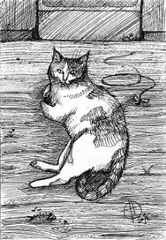 Кошка на кухне прилегла отдохнуть