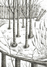 Пейзаж с Деревьями у Дороги