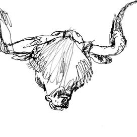 Путешествия по московскому зоопарку 3