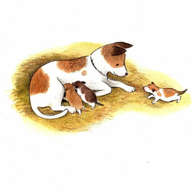 Собака со щенками.