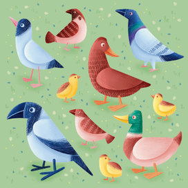 Городские птицы