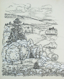 и снова лес!