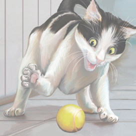 Жизнеописание кота Федьки