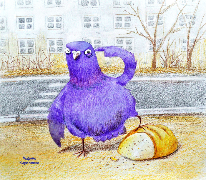 Фиолетовый голубь