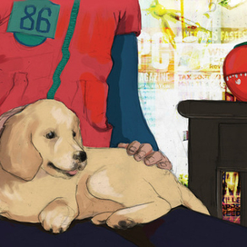 The Curious Incident of the Dog in the Night-Time