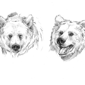 Угрюмый-веселый