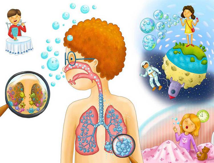 дыхательная система