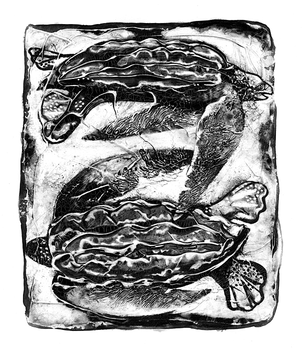 Любовные письма принцессы Атех и Аль-Сафера