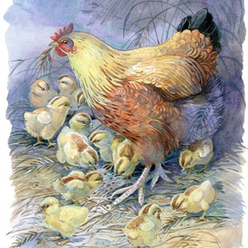 "Чужое яичко" Ушинский