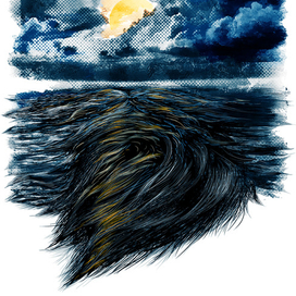 Бородозакат