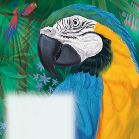 Попугай серия Дикие животные