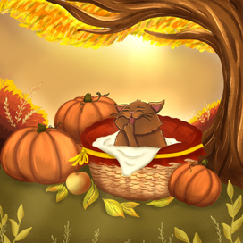 Кот в корзинке 