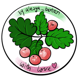 Авторский стикер 