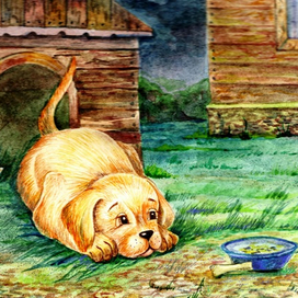 Собака сторожит дом