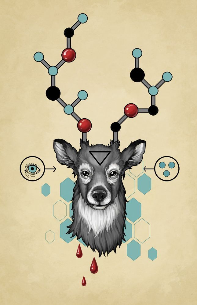 молекулярная структура оленя