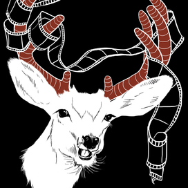 Принты с животными