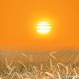 Планета ораньжевого карлика