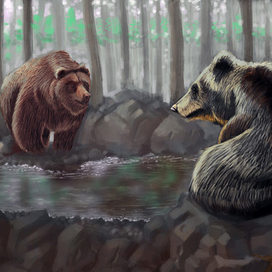 Bears