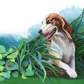 Иллюстрация к сказке "Гадкий утенок"